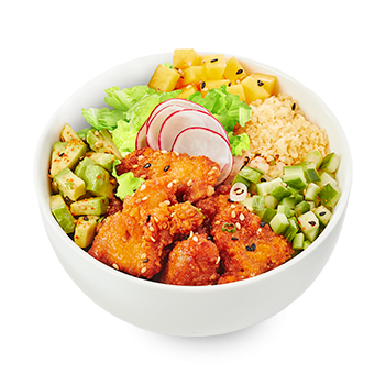 ss25-poke-pouletk-mangue-iceberg-350x350