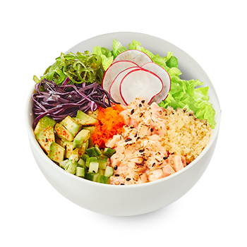 ss25-poke-volcano-iceberg-350x350